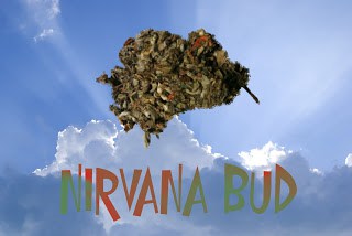 Nirvana_legal+bud.jpg