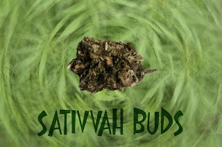 Sativvah_legal+bud.jpg