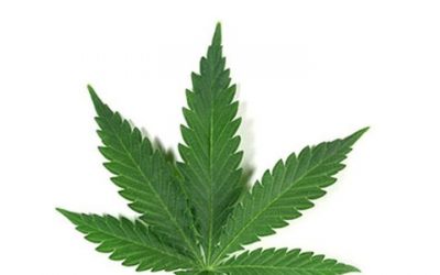 Important Legal info on #Marijuana #CannabisCommunity