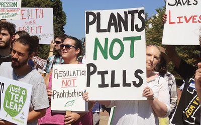 #SaveKratom CALL TO ACTION! Help #KeepKratomLegal #KratomSavesLives #Kratom needs YOUR help NOW…