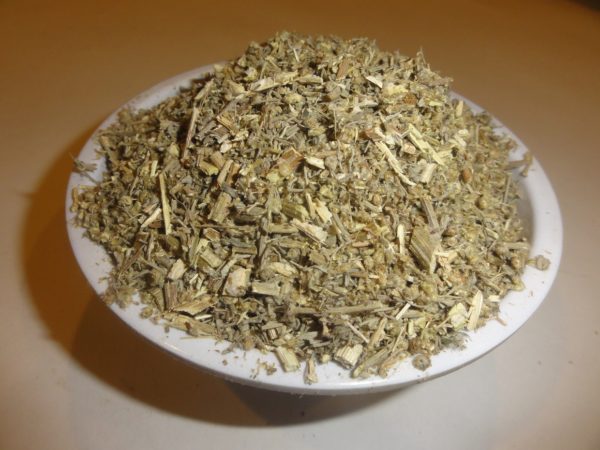 Wormwood-Artemisia-Absinthium-legalherbalshop