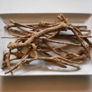 African Dream Root, Silene capensis