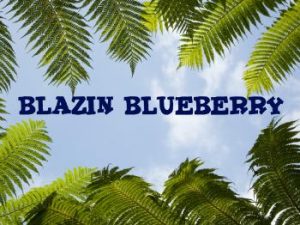 Blazin BlueBerry, Herbal Blend, herbal smoke