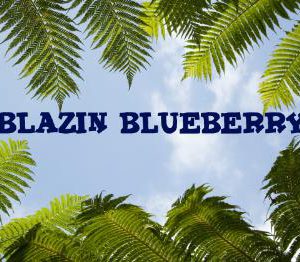 Blazin BlueBerry, Herbal Blend, herbal smoke