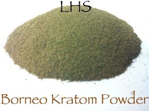 Green Borneo Kratom Powder - Mitragyna speciosa
