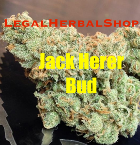LegalHerbalShop-Jack Herer-Legal Bud-CBD-Hemp