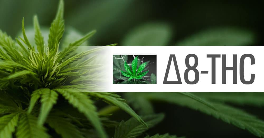 LegalHerbalShop-Delta-8-THC-logo