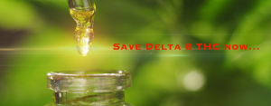 Save-delta-8-thc-buycbd1-healthycbd