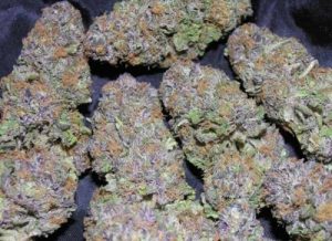 Purple Urkle-Delta-8-THC-Legal Bud-multpile