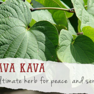Kava
