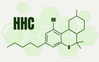 HHC (Hexahydrocannabinol)  Lets get to know the heavy hitter on the block.