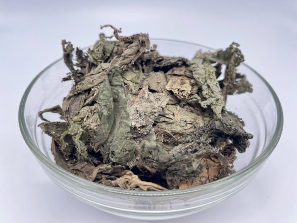 psychotria poeppigiana-dried leaf-LegalHerbalShop