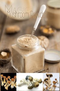 Magic Mushroom Extract | LegalHerbalShop Magic Mushroom Extract