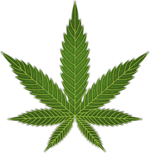 Cannabis Leaf.png