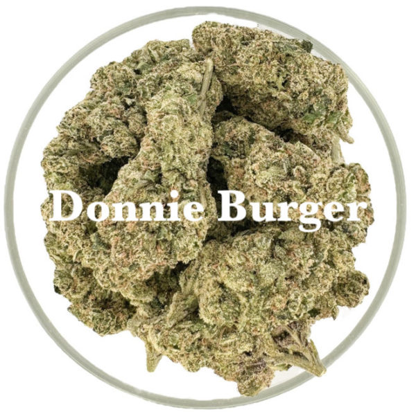 LegalHerbalShop-Bearly-Legal-Donnie-Burger-THCa-Flower-Legal-Bud