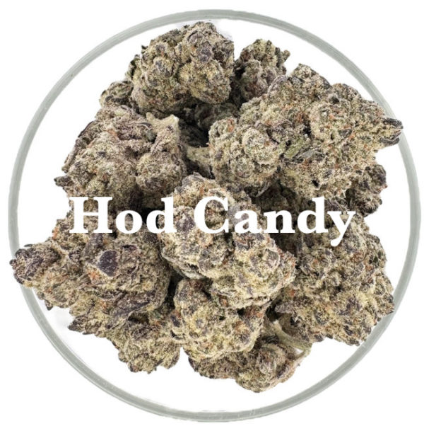 Bearly Legal THCa Flower - Legal Bud! - Image 5