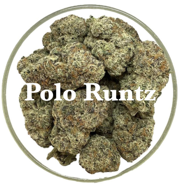 Bearly Legal THCa Flower - Legal Bud! - Image 4