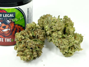 LegalHerbalShop Bearly Legal THCa Flower Legal Bud