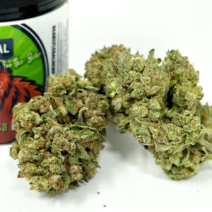 LegalHerbalShop-Bearly-Legal-THCa-Flower-Legal-Bud